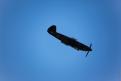 Sion AirShow 608