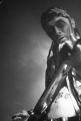 The Living Dead Boys 177