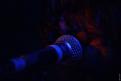 Birdpen 076
