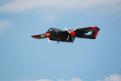 Sion AirShow 709