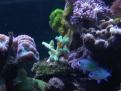 DSC01981