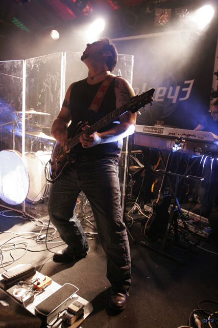 Monkey3 4