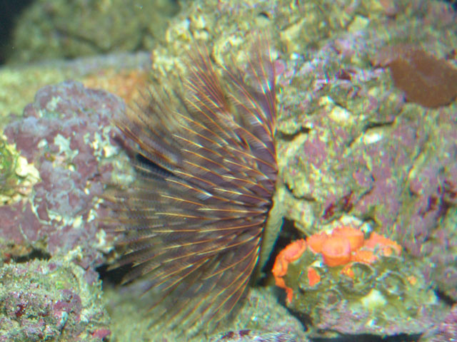 DSC01955