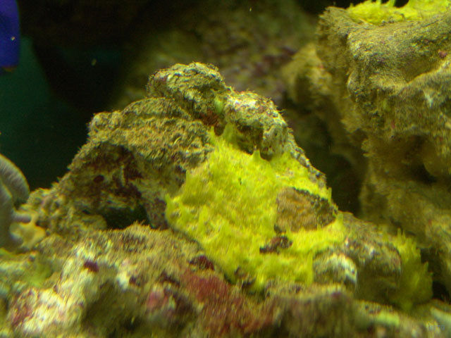 DSC01961