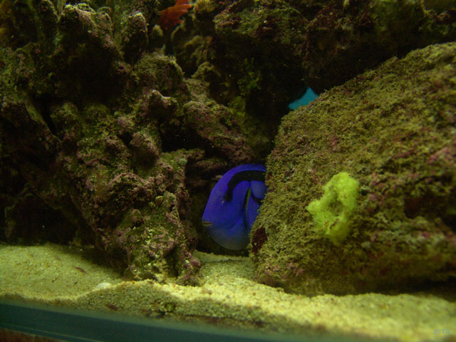 DSC01967