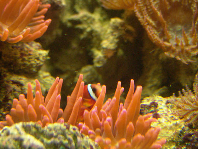 DSC01968