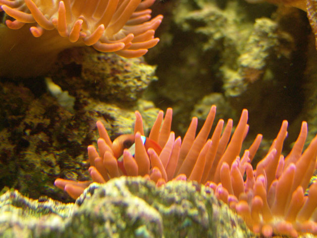 DSC01969