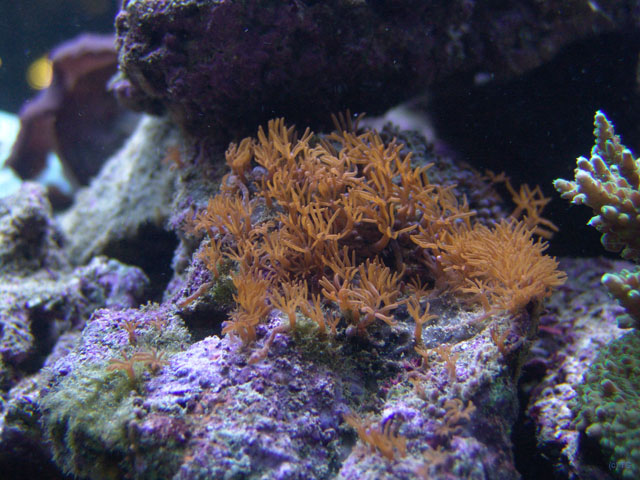 DSC01980