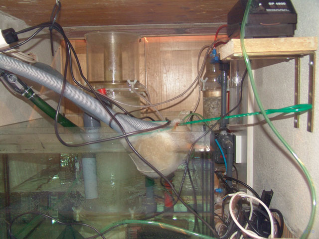 DSC01999