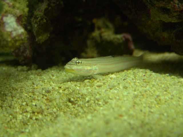 DSC02005