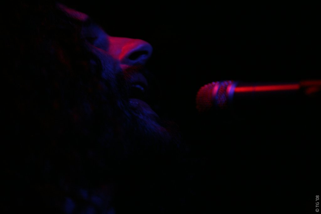 Thee Silver Mount Zion Memorial Orchestra and Tra-La-La Band 011