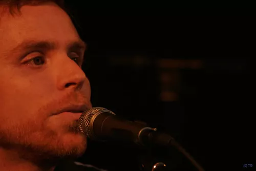Fauve 4