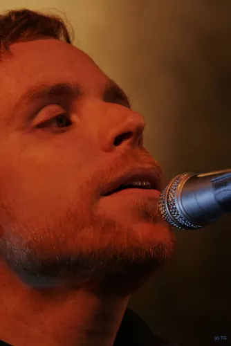 Fauve 5