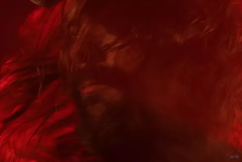 Mororpsycho 3