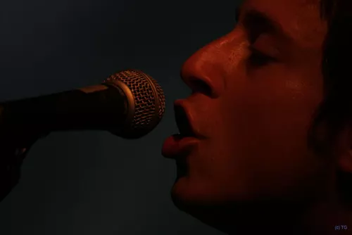 Stevans 4