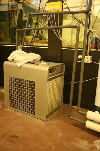 7000 litres 155