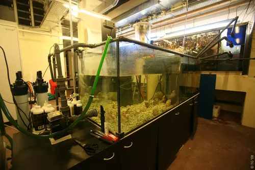 7000 litres 158