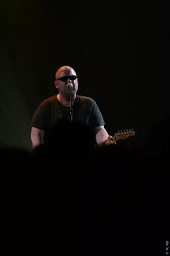 Frank Black 242