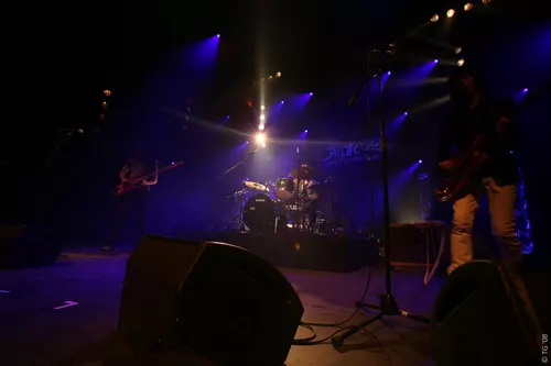 Little Barrie 007
