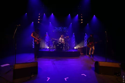 Little Barrie 016