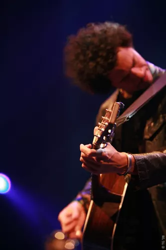 Eagle Eye Cherry 223