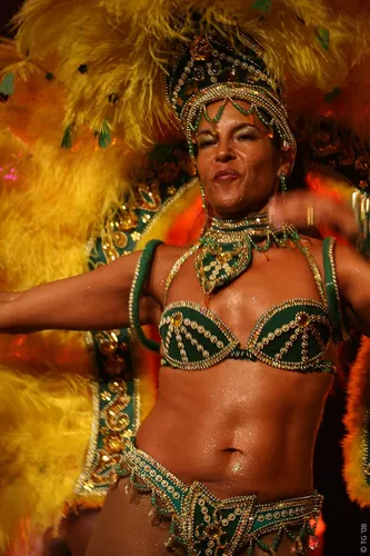 Carnaval Carioca 290