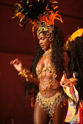 Carnaval Carioca 291