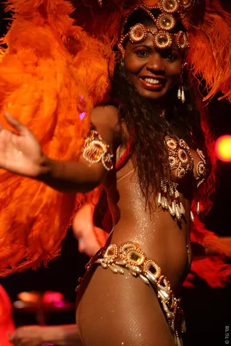 Carnaval Carioca 293