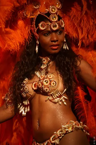 Carnaval Carioca 313