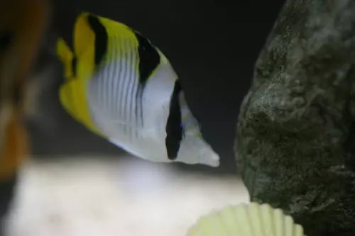 19.11.08