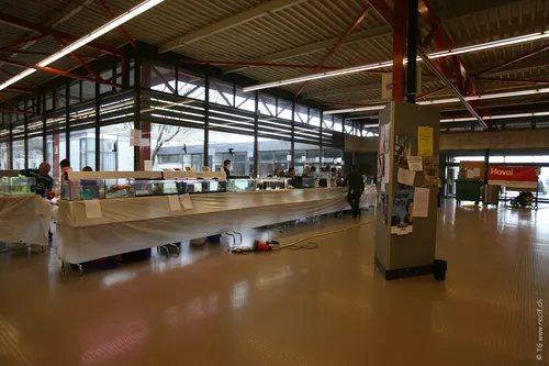 Bourse ACL (25)