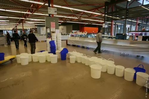 Bourse ACL (47)
