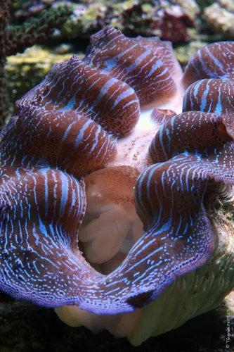 3. 27.01.2009