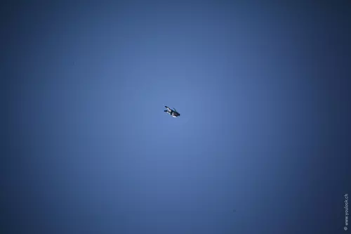 Vertigo 09 183
