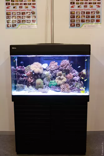 Interzoo 053