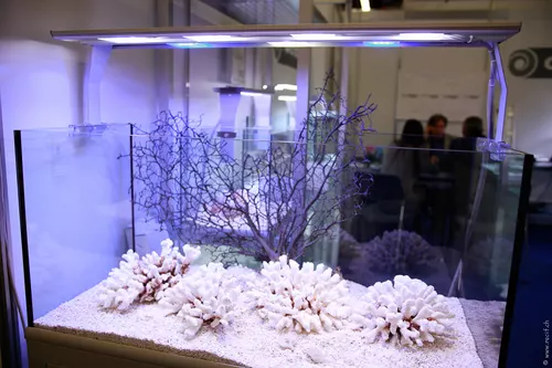 Interzoo 076