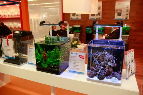 Interzoo 096