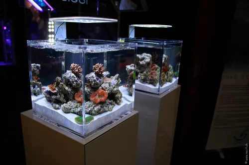 Interzoo 110