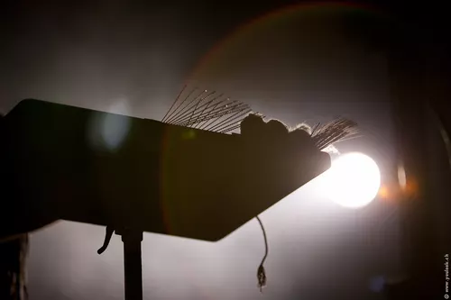 Jonsi