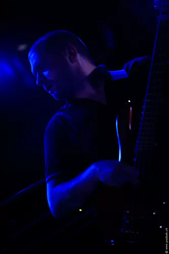 The Fall