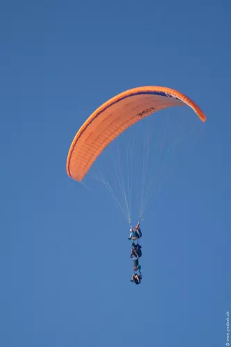 Vertigo 259