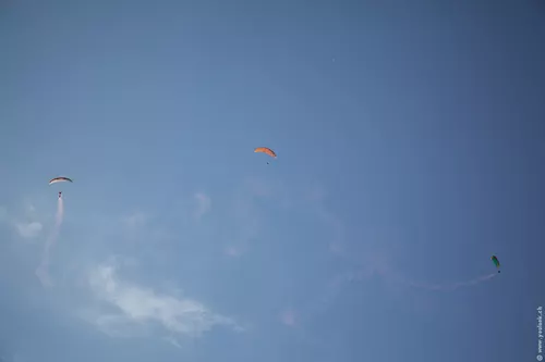 Vertigo 266