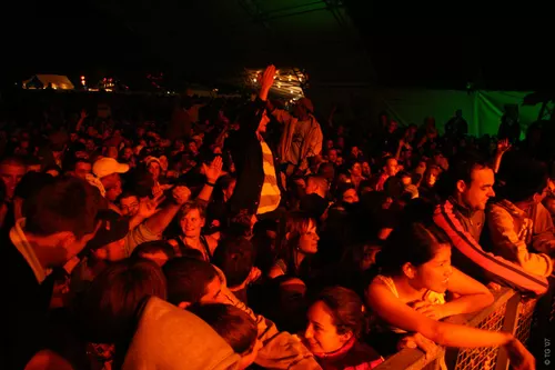 Festineuch 781