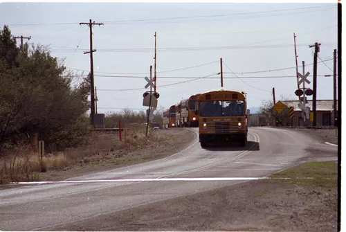 USA T03-31 Bus Scolaire 2