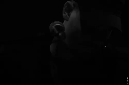 Raphelson - Sophie Hunger 111