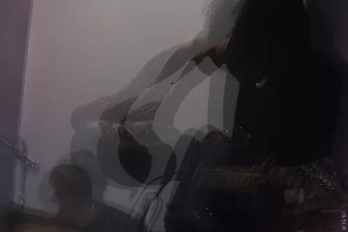 Birdpen 299