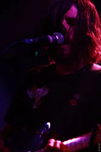 Birdpen 028
