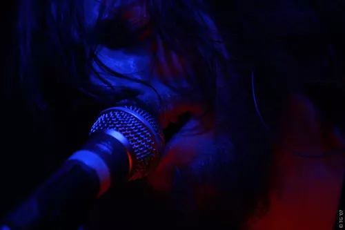 Birdpen 059