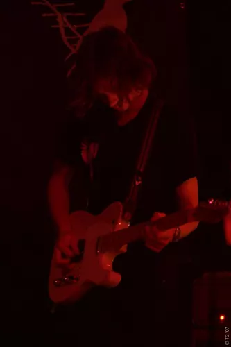 Birdpen 152