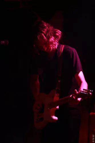 Birdpen 177